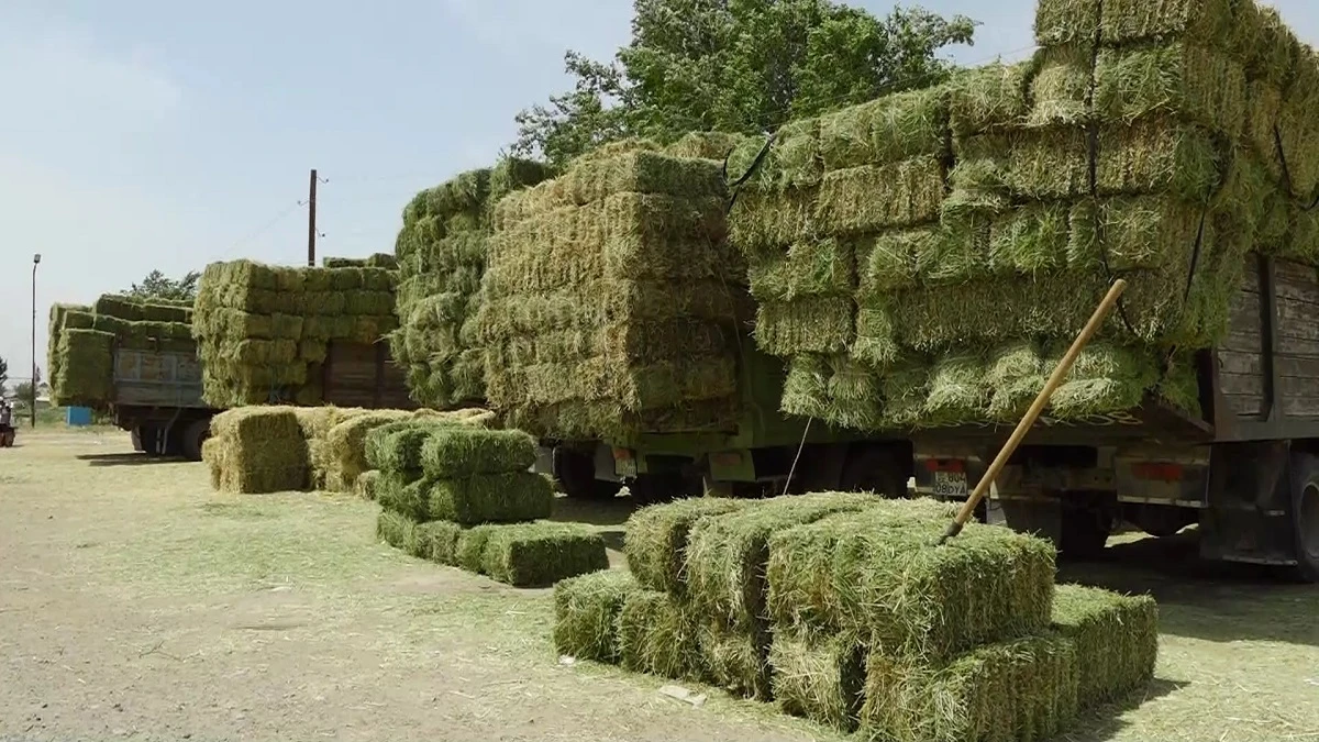 Открытый источник